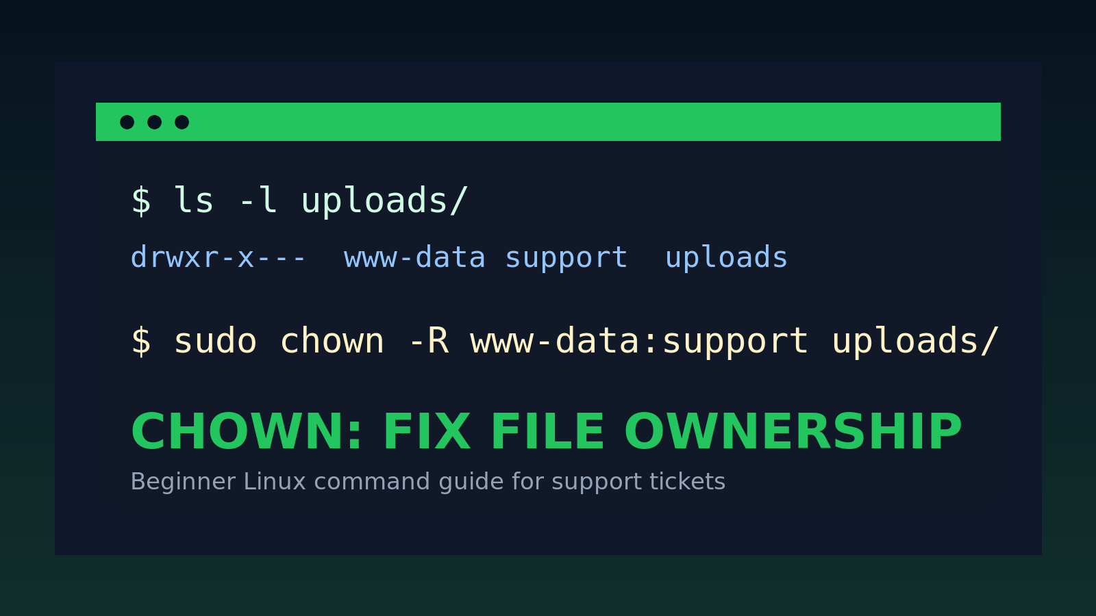 Linux chown Command for Beginners: Fix File Ownership