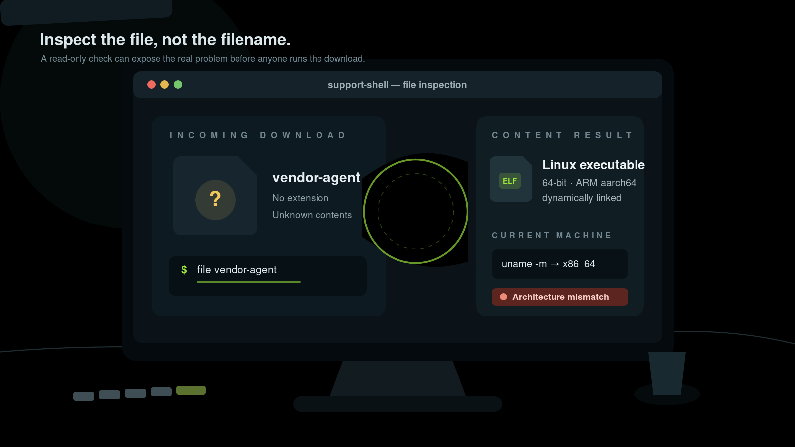 Linux file Command: Identify File Types Safely