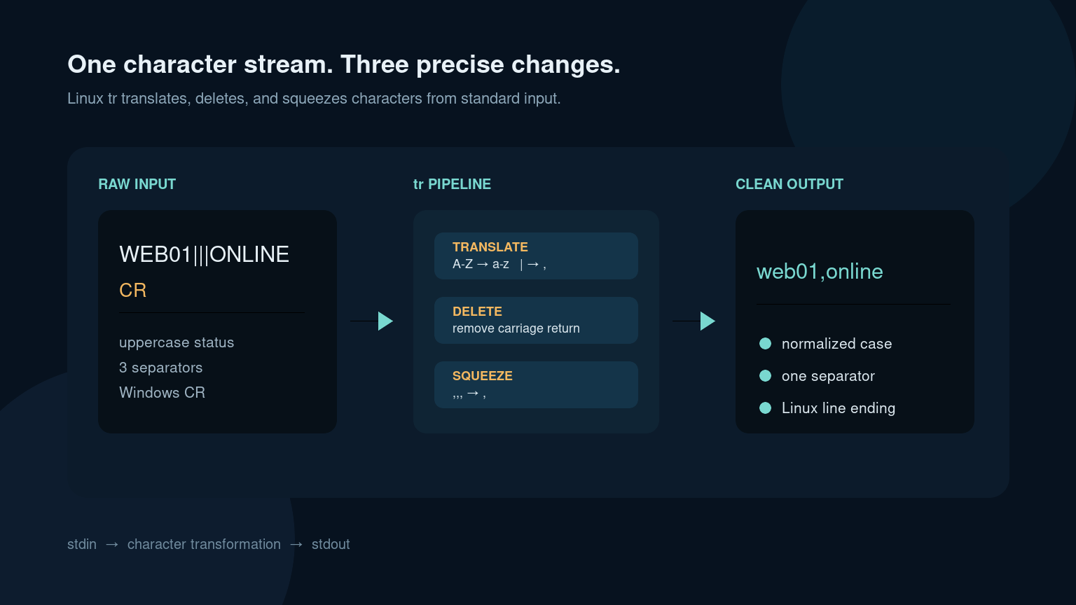 Linux tr Command: Replace and Clean Text